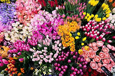 《战地2042》精英版现身PlayStation商店 售价100美元