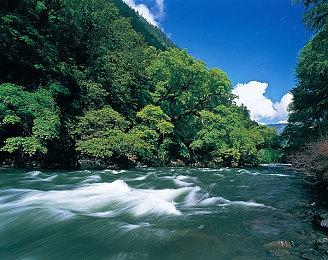 《烤肉模拟器》上架Steam 预计6月发行