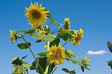 生存恐怖游戏《永无止境》实机预告公开 明年4月发售 